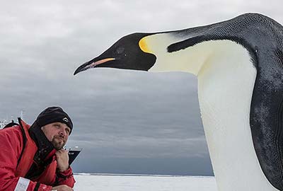 Emperor Penguins Weddell Sea